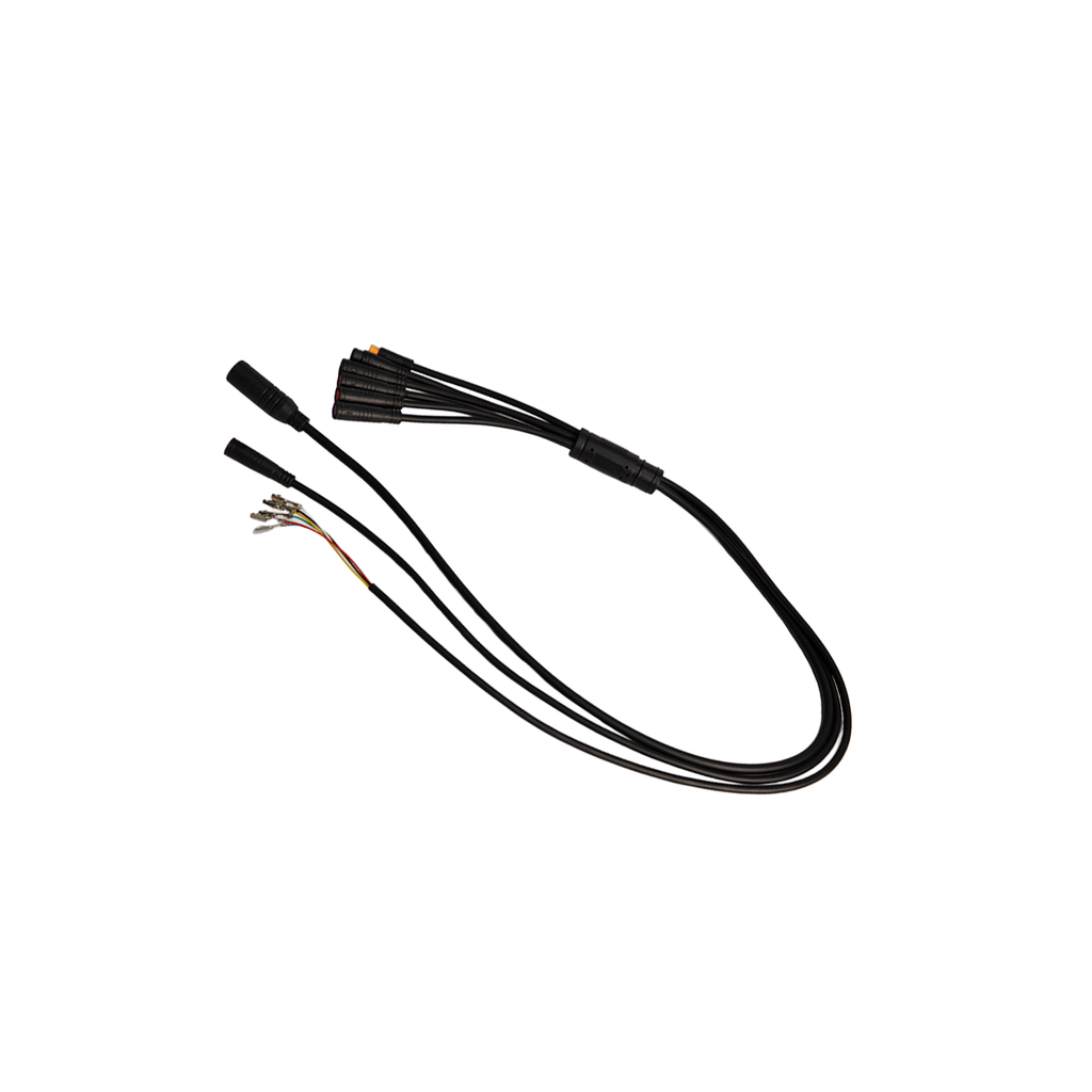 Zawes S3 Wiring Harness